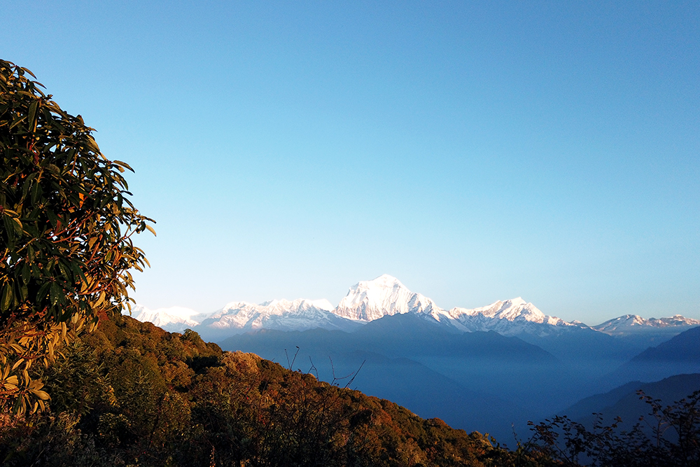 Photo of Annapurna South Snow peak