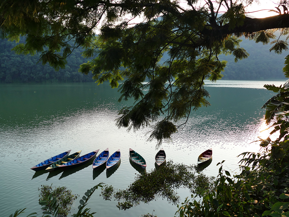 Photo of FEWA lake in Pokhara