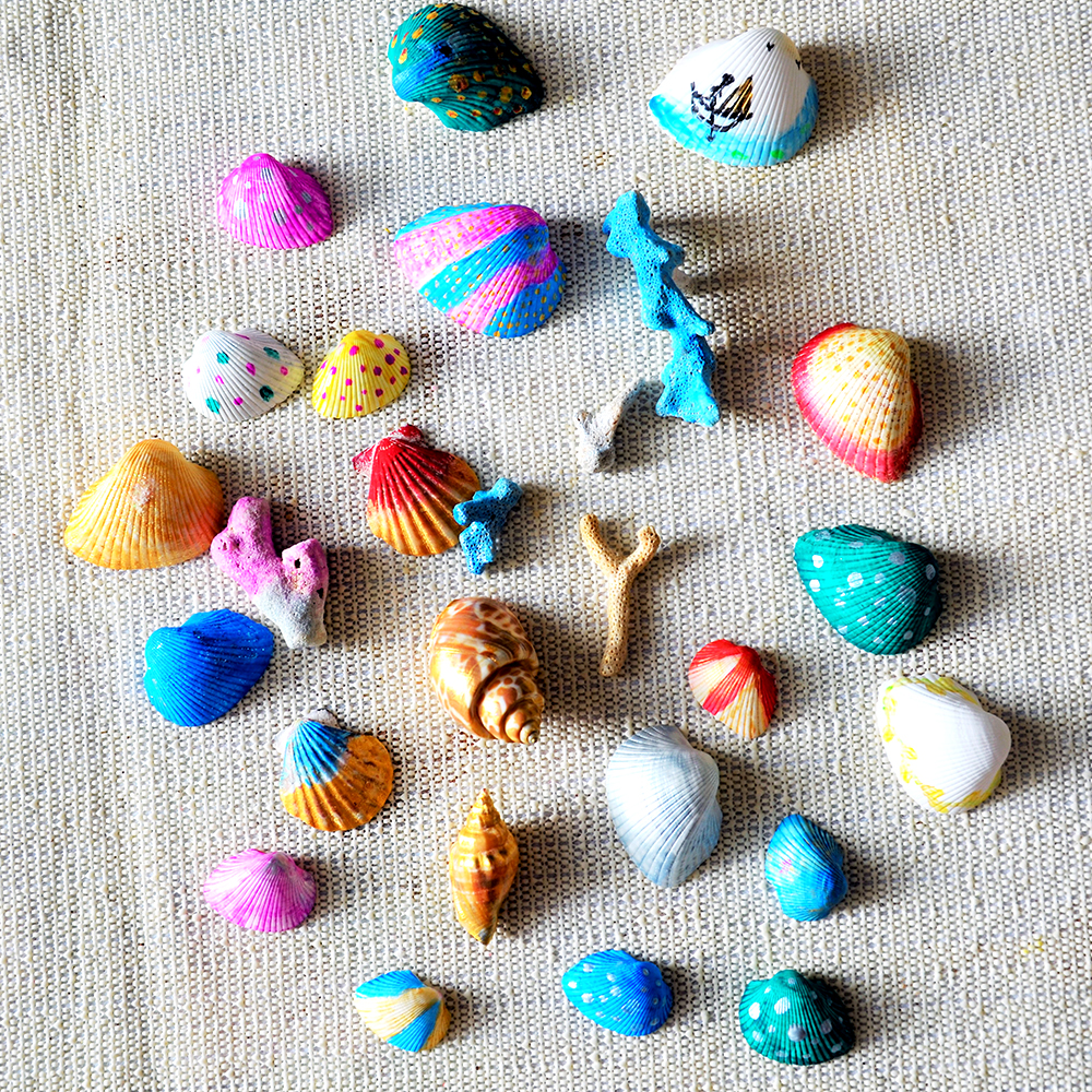 Photo of painted shells used for DIY art with Shells